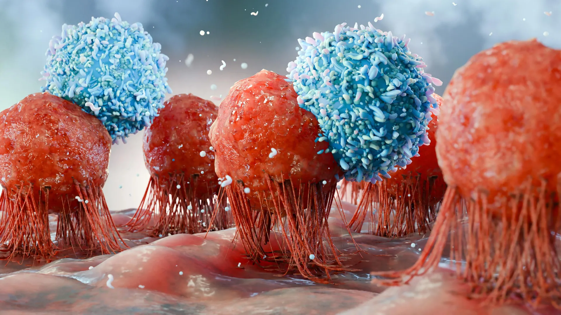 Microscopic view of immune cells attacking cancer cells